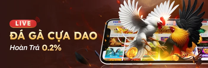 MB88 Đá Gà Thả Ga Tại MB88 – Hoàn Trả Tối Đa, Rút Ngay Không Cần Vòng Cược