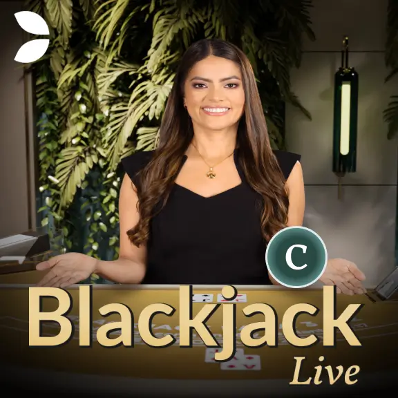 MB88 Blackjack C