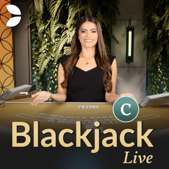 MB88 Blackjack C