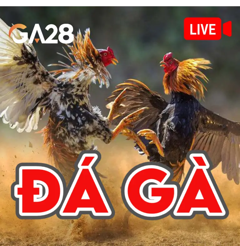 MB88 Đá Gà GA28
