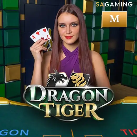 MB88 M Dragon Tiger