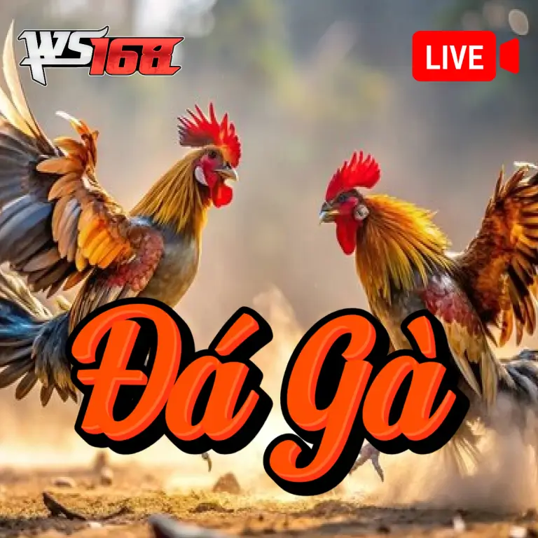 MB88 Đá Gà WS168