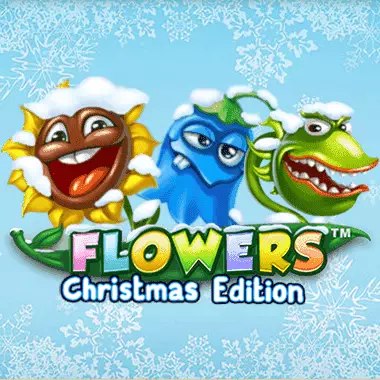 MB88 Flowers Christmas Edition