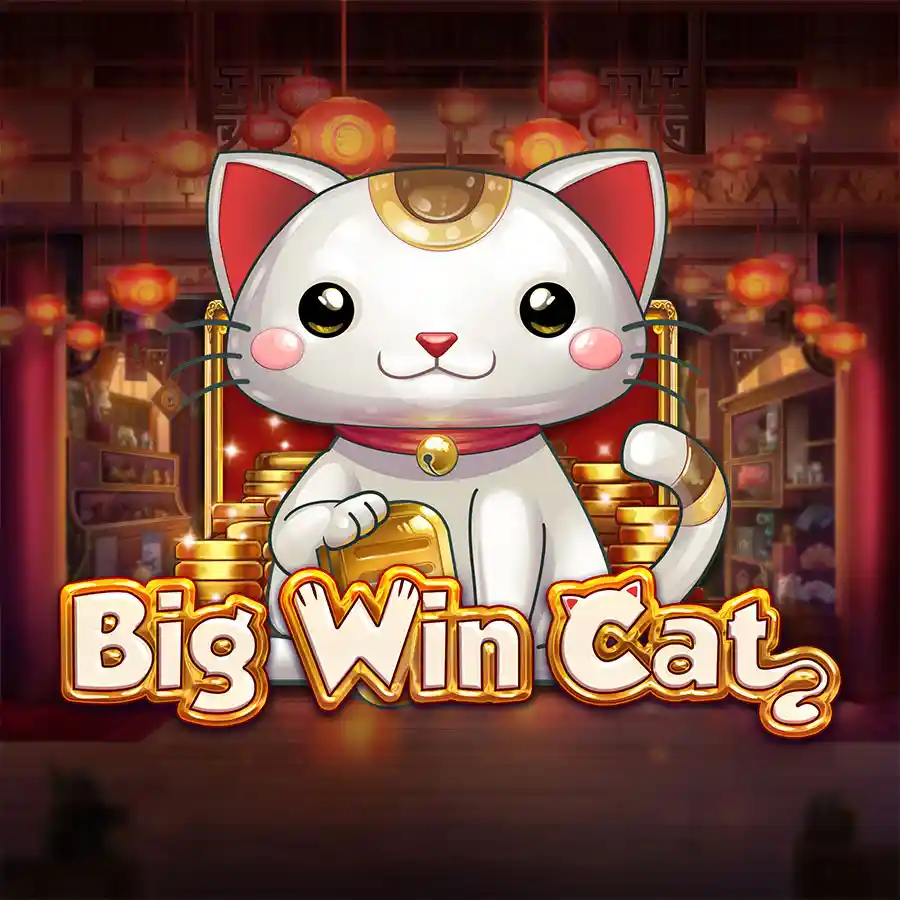 MB88 Big Win Cat