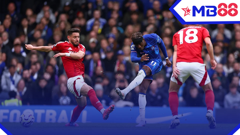 MB88 Nhận định bóng đá, soi kèo nhà cái Nottingham vs Chelsea: 22h00, 25/5
