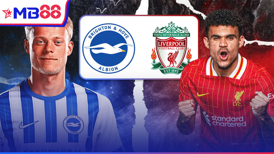 MB88 Nhận định bóng đá, soi kèo nhà cái Brighton vs Liverpool: 2h00, ngày 20/5/2025